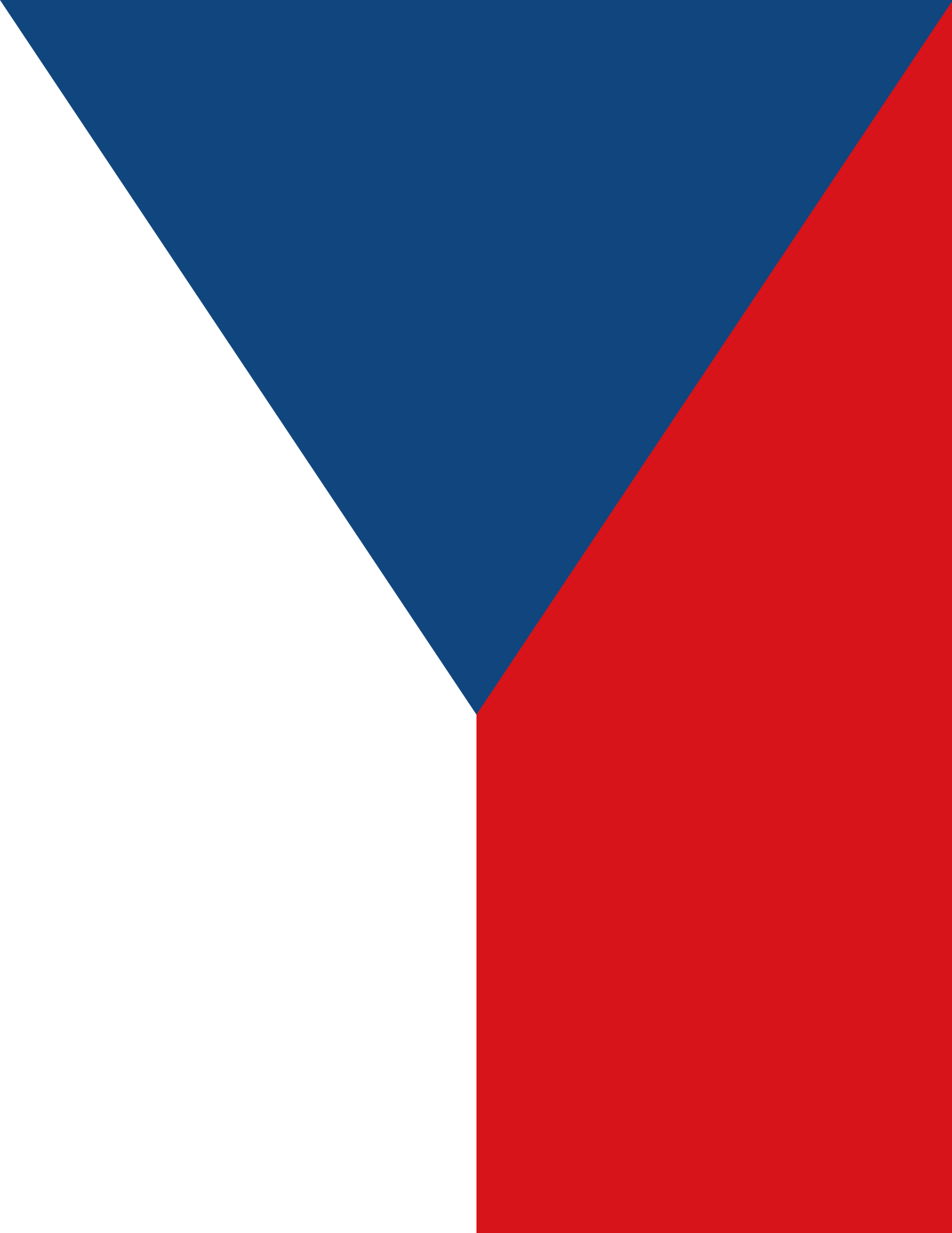 Children Czech Summer School 2016